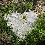 Apartamento Glueck Am - Mit Seezugang