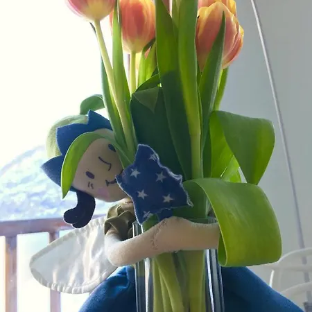 Glueck Am - Mit Seezugang Hallstatt