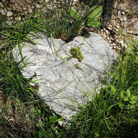 Daire Glueck Am - Mit Seezugang