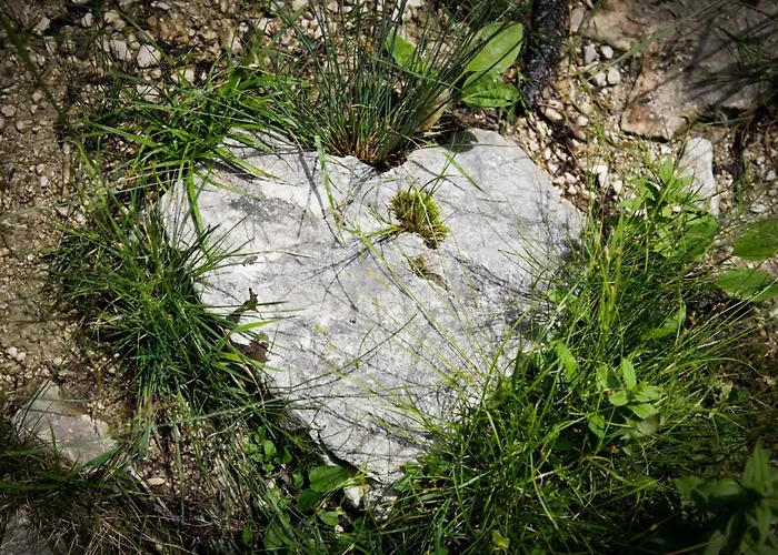 Lejlighed Glueck Am - Mit Seezugang