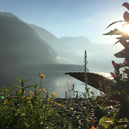 Apartment Glueck Am - Mit Seezugang Hallstatt