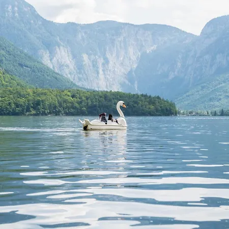 Glueck Am - Mit Seezugang Lejlighed Hallstatt