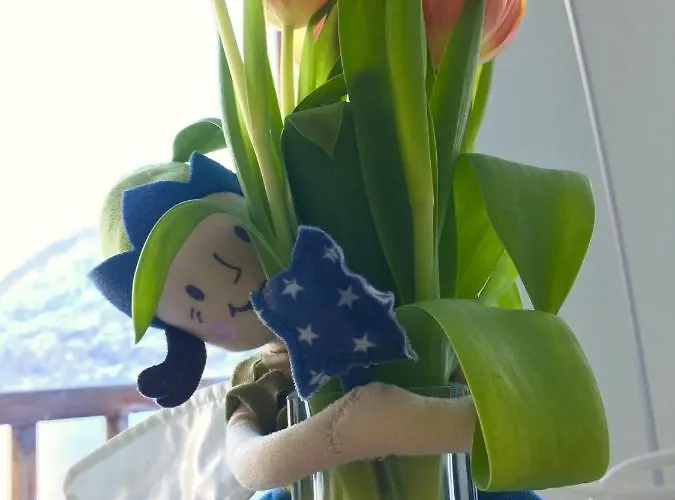 Glueck Am - Mit Seezugang Hallstatt